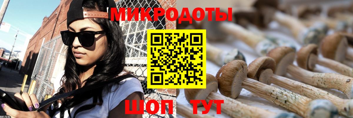 Галлюциногенные грибы MAGIC MUSHROOMS  где можно купить   Усть-Джегута  Вход с VPN 